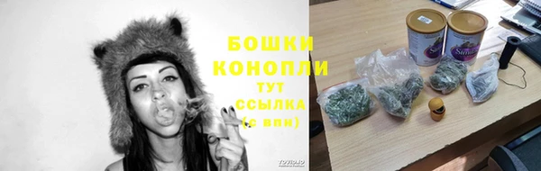 ПСИЛОЦИБИНОВЫЕ ГРИБЫ Богородск