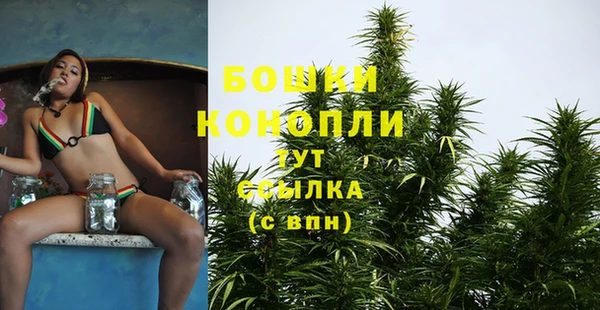 меф Богородицк