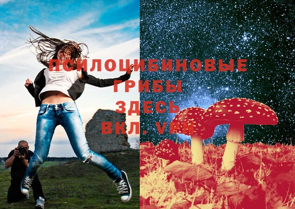 mix Богданович