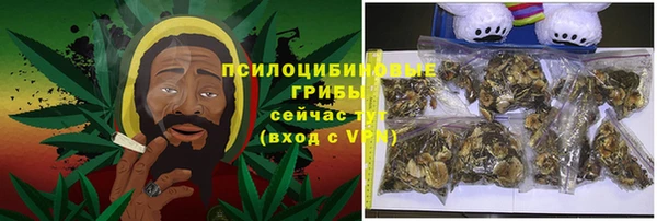 ПСИЛОЦИБИНОВЫЕ ГРИБЫ Богородск