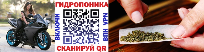 хочу   Уссурийск  Бошки марихуана OG Kush 